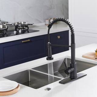 FORIOUS Single Spring Handle Kitchen Faucet with Pull Down Sprayer Kitchen Sink Faucet with Deck Plate in Matte Black HH51000B