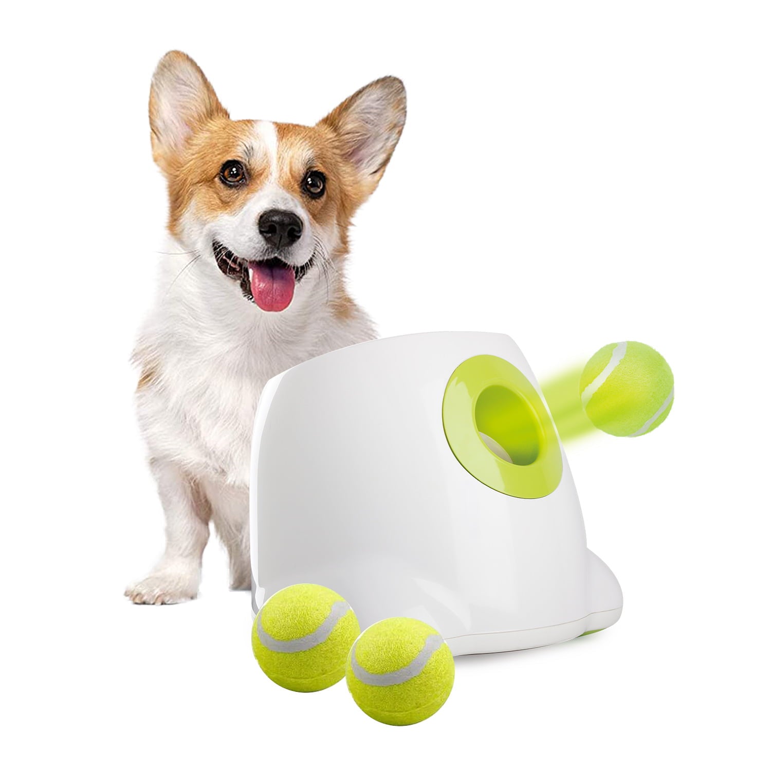 All For Paws Hyper Fetch Automatic Tennis Ball Launcher for Puppies and Small Dogs， 3 Balls Included