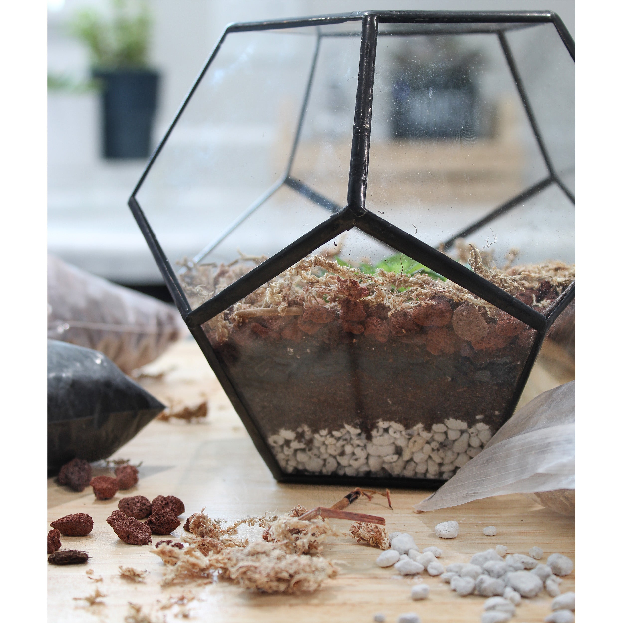 Succulent Terrarium Planter Kit, DIY Set with Soil, Pumice, Horticultural Charcoal, Sphagnum Moss, Red Lava Rock