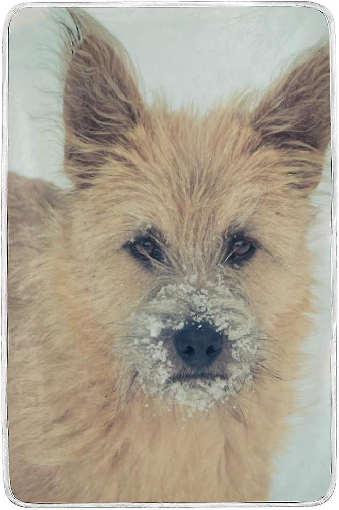 Velvet Plush Throw Thermal Blanket 5 X 7.5 Ft Dog Stained His Nose Flannel Fleece Blanket For Men Women Couch Bed Sofa Car