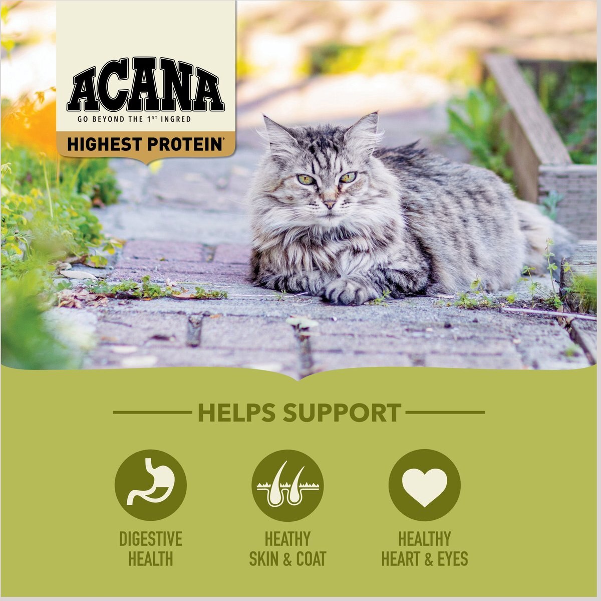 ACANA Grasslands Grain-Free Dry Cat Food