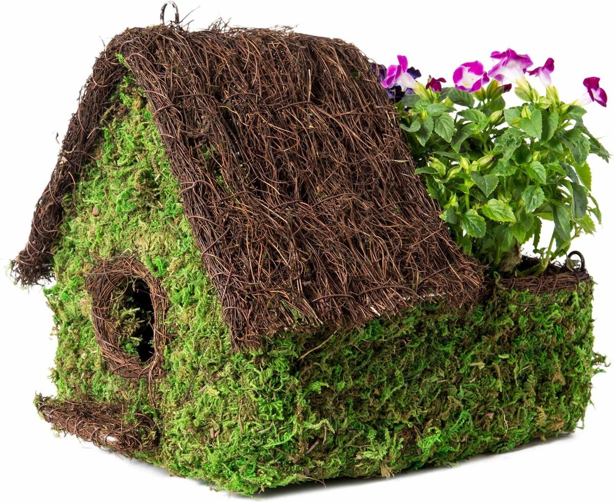 Galapagos Plantable Maison Birdhouse， Fresh Green