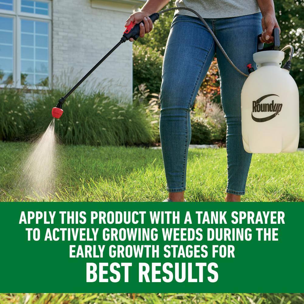 Roundup 32 oz. For Lawns 2 Concentrate (Northern) 502031005