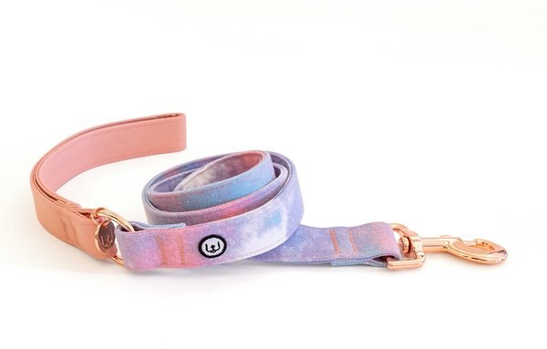 Eat Play Wag Cotton Candy Standard Leash