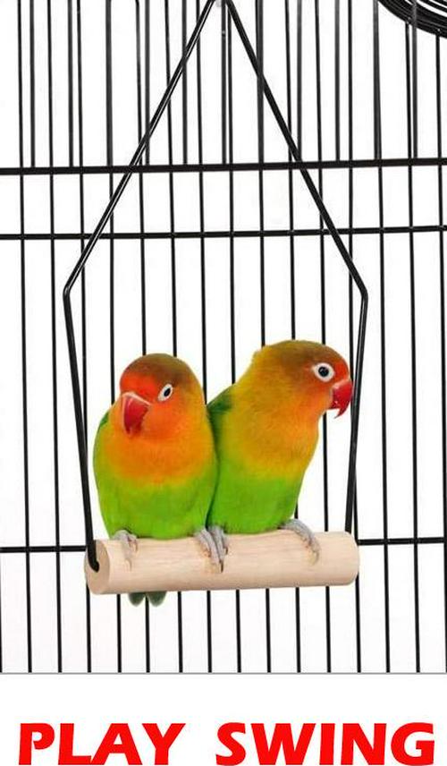 Large 36  Portable Hanging Travel Open Top Bird Flight Cage With Play Toys and 10Step Cross Ladder for Parakeets Finches Canaries Lovebirds Small Quaker Parrots Cockatiels Budgie Green Cheek Conure  Crowdfused