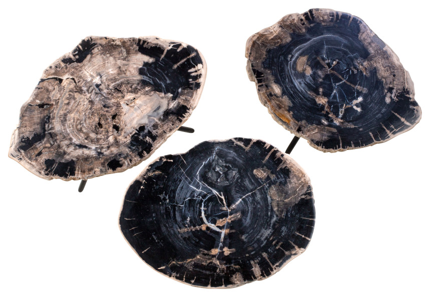 Petrified Wood Coffee Table Set  3 Piece Set  Versmissen   Contemporary   Coffee Table Sets   by Oroa   Distinctive Furniture  Houzz