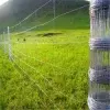 Supply Pasture Cattle Net Galvanized Grassland Net Cheap Farm Fence Horse Pasture Fencing