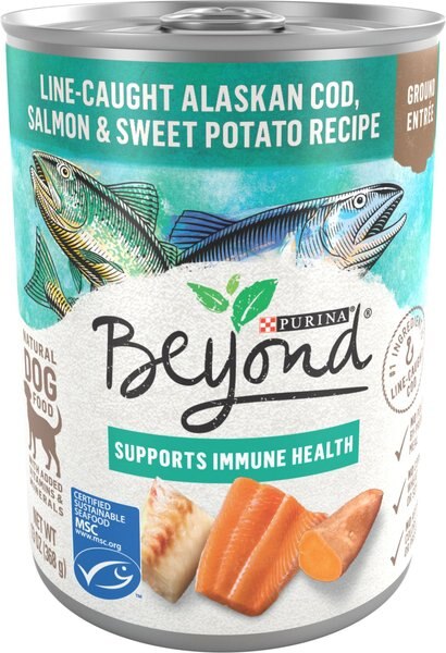 Purina Beyond Alaskan Cod， Salmon and Sweet Potato Grain-Free Canned Dog Food