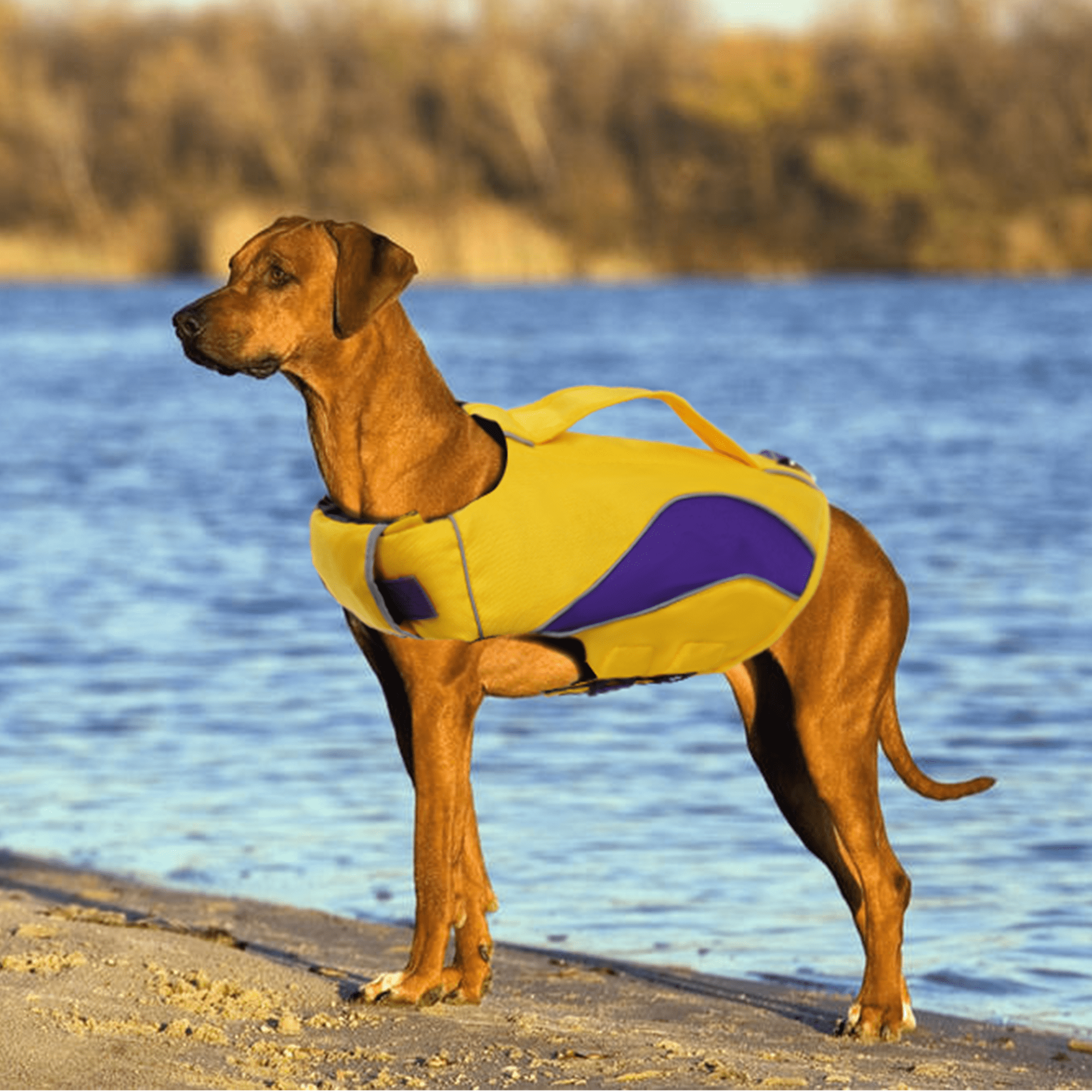 Kuoser Dog Life Jacket Pet Ripstop Life Vest Dog Swimming Training Suit Adjustable and Reflective