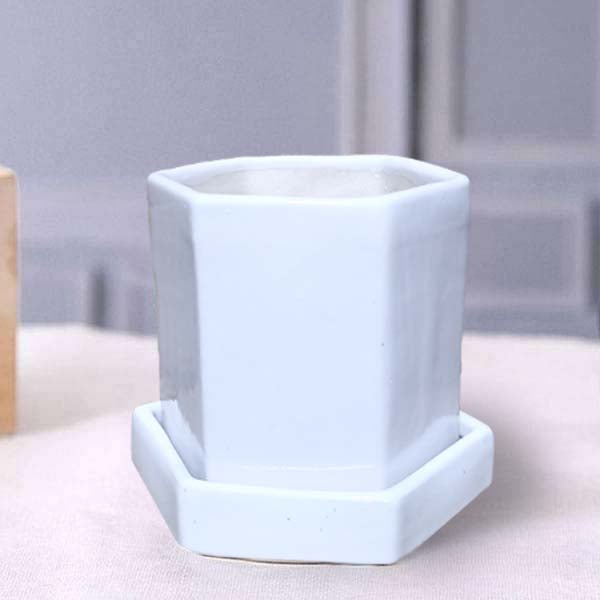 5 inch (12 cm) Hexagon Ceramic Pot with Plate