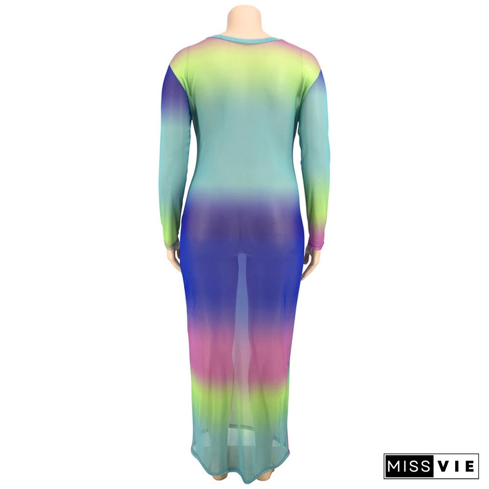 Colorful Printed Mesh Full Sleeves Skinny Plus Size Maxi Dress