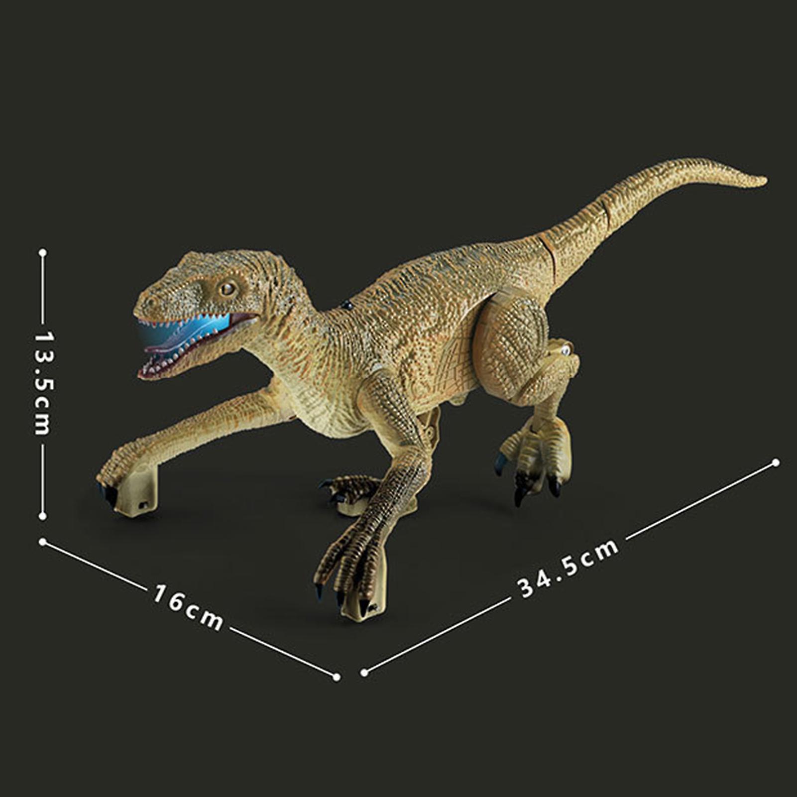 1pcs Remote Control Dinosaur Toys(need To Assemble)，1pcs Remote Controller，1pcs Screwdriver，