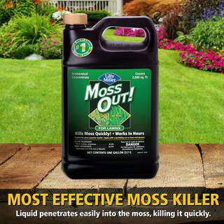 Moss Out! 1 Gal. Moss Out! Moss Killer for Lawns 100099156