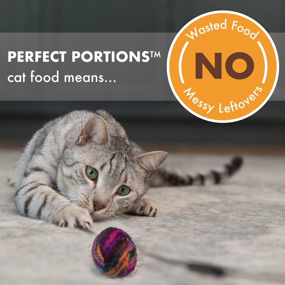 Nutro Perfect Portions Grain-Free Multi-Pack Real Turkey and Real Chicken Paté Recipe Cat Food Trays