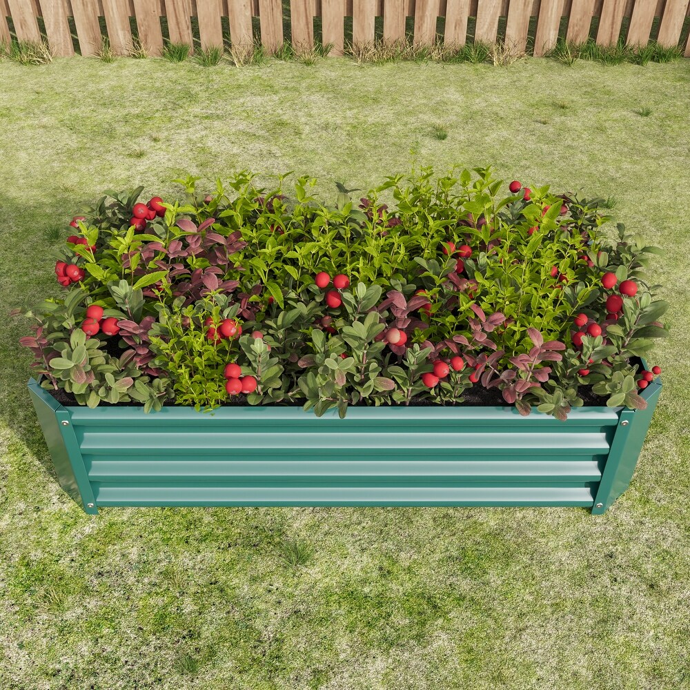 Metal Raised Rectangle Planter Beds for Plants  Metal Oval Raised Garden Bed Planter