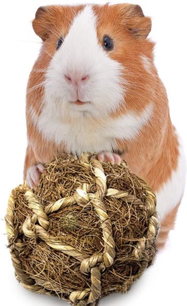 SunGrow Small-Pet Guinea Pig and Chinchilla Coconut Fiber Activity Chew Play Ball Fun Treat and Cage Entertainment