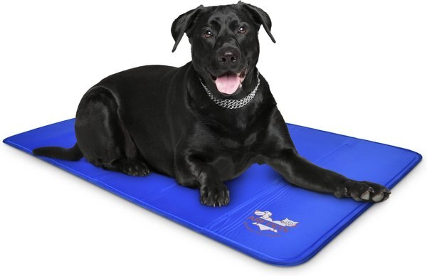 Arf Pets Self-Cooling Solid Gel Dog Crate Mat