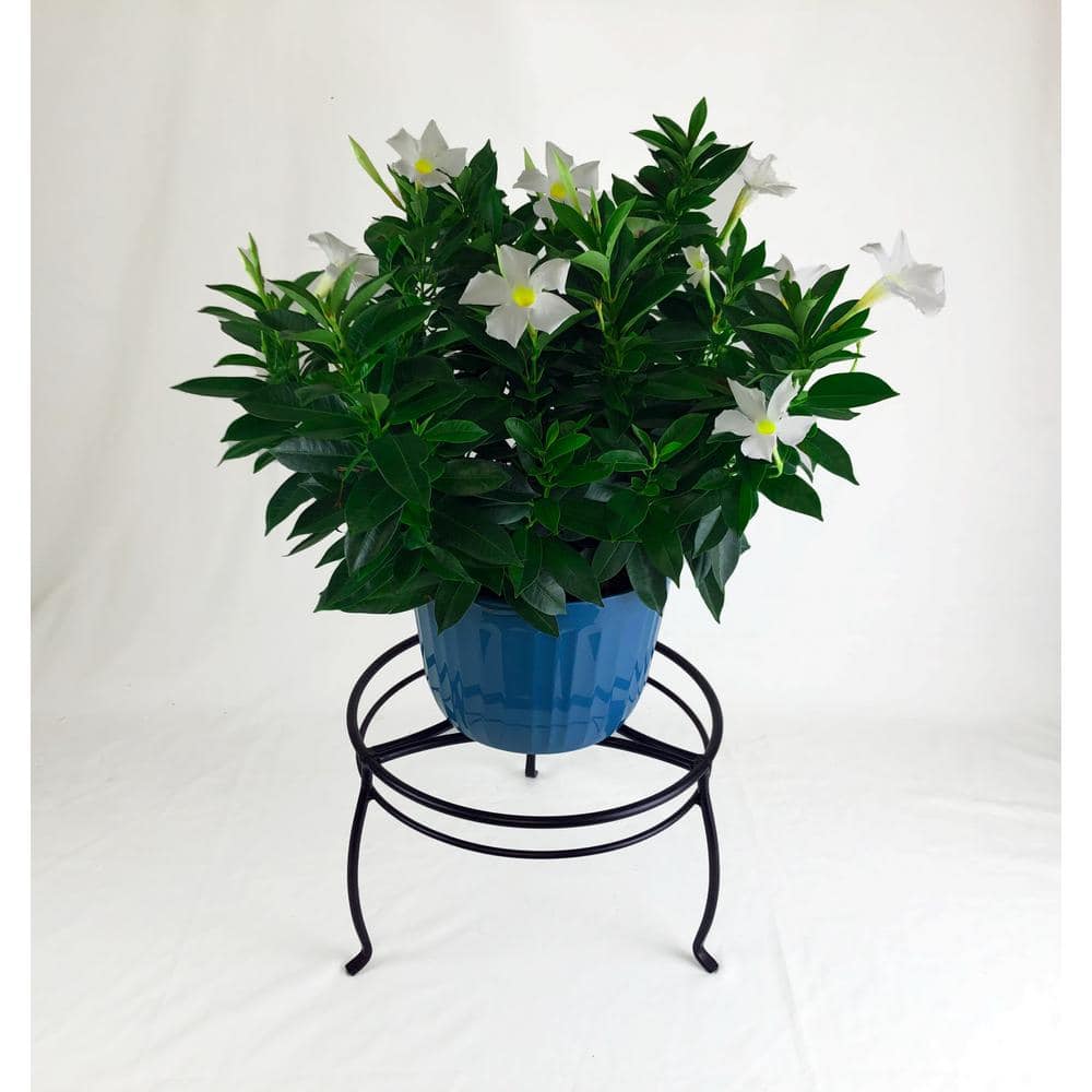 Vigoro 8 in. Black Metal Indoor Plant Stand 51470