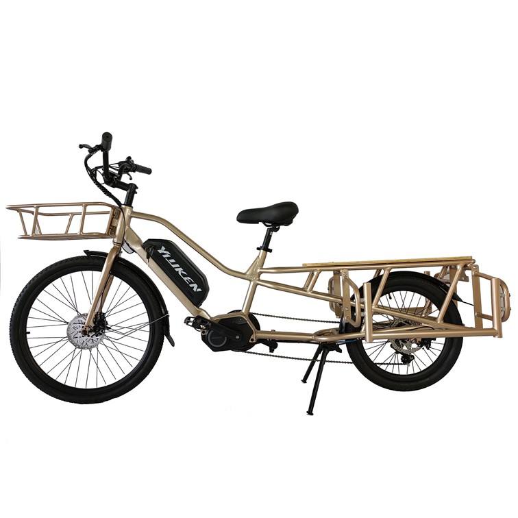 electric cycling bike 250W mid drive long trail electric bike 36V 13Ah battery electric cargo bike for sale