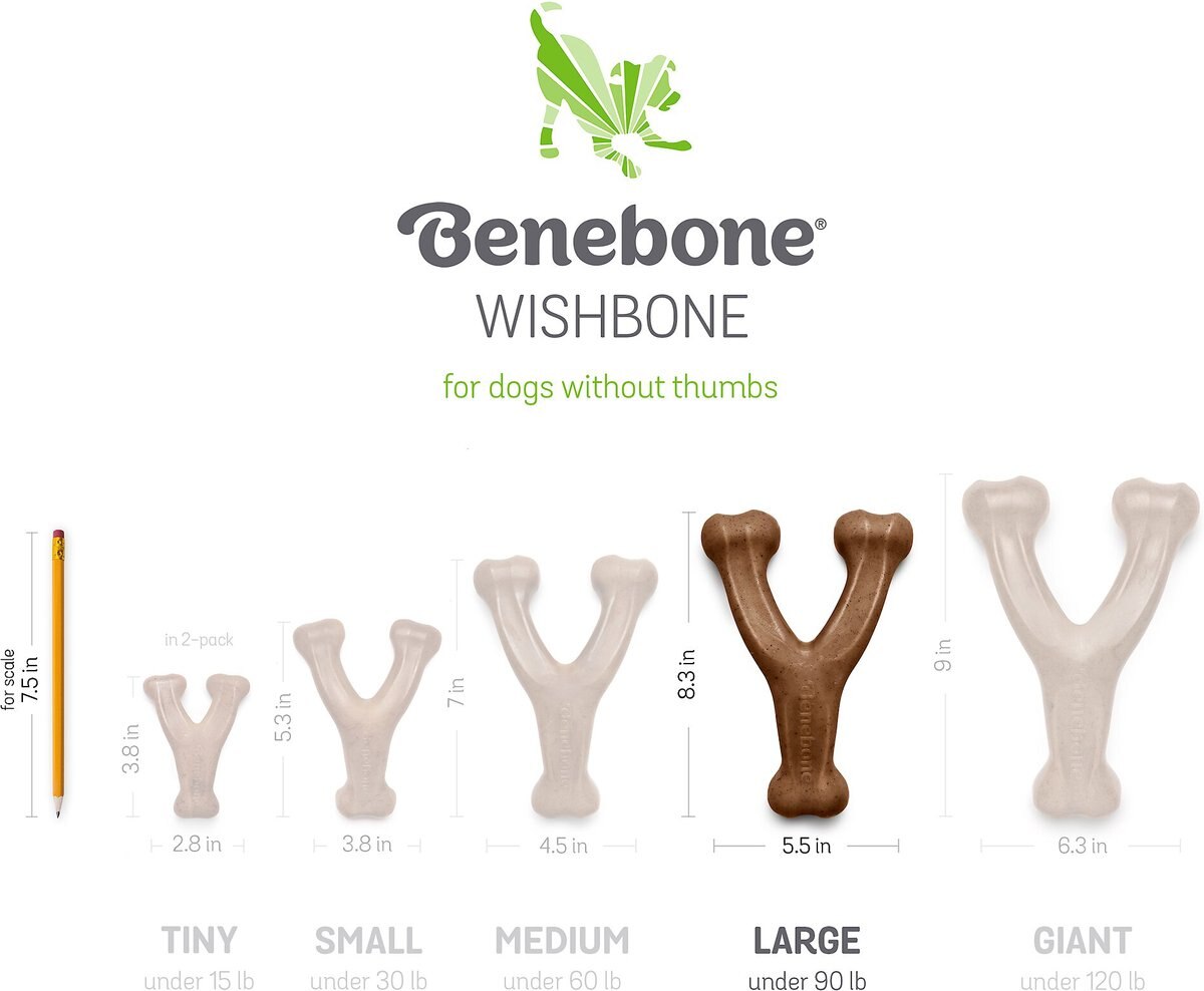 Benebone Bacon Flavor Wishbone Tough Dog Chew Toy