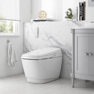 OVE Decors Fran Elongated Bidet Toilet in White Fran