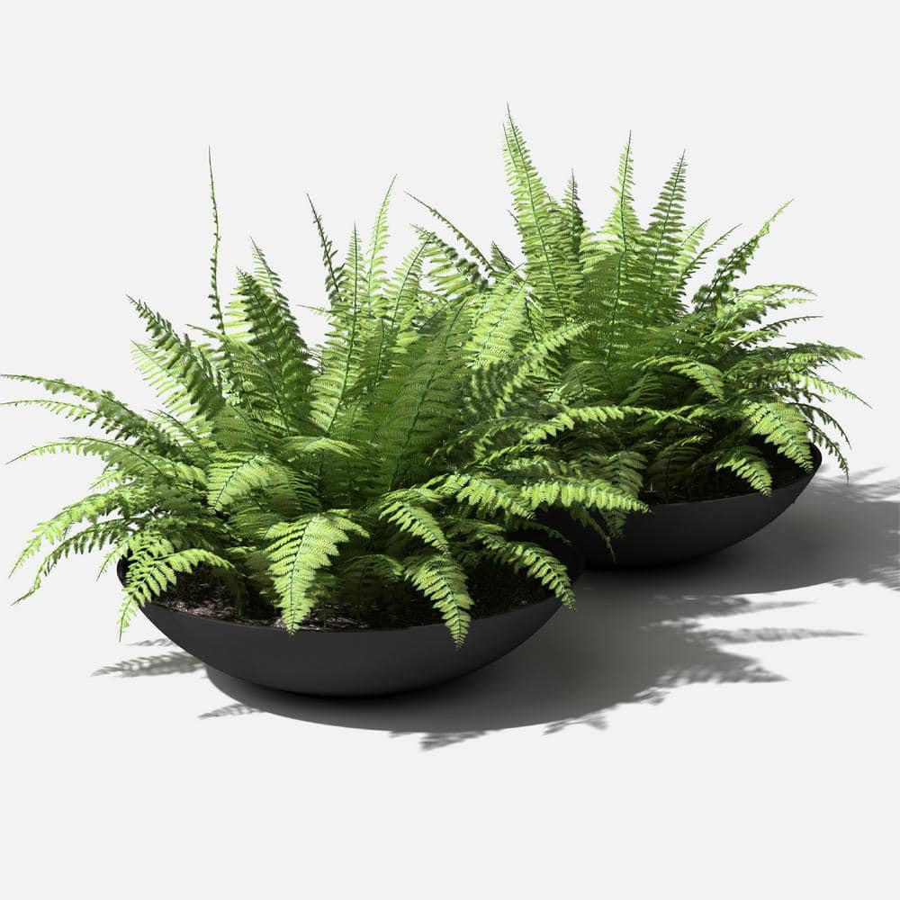 Veradek Lane Bowl 32 in. Black Plastic Round Planter (2-Pack) LBV32B-2PK