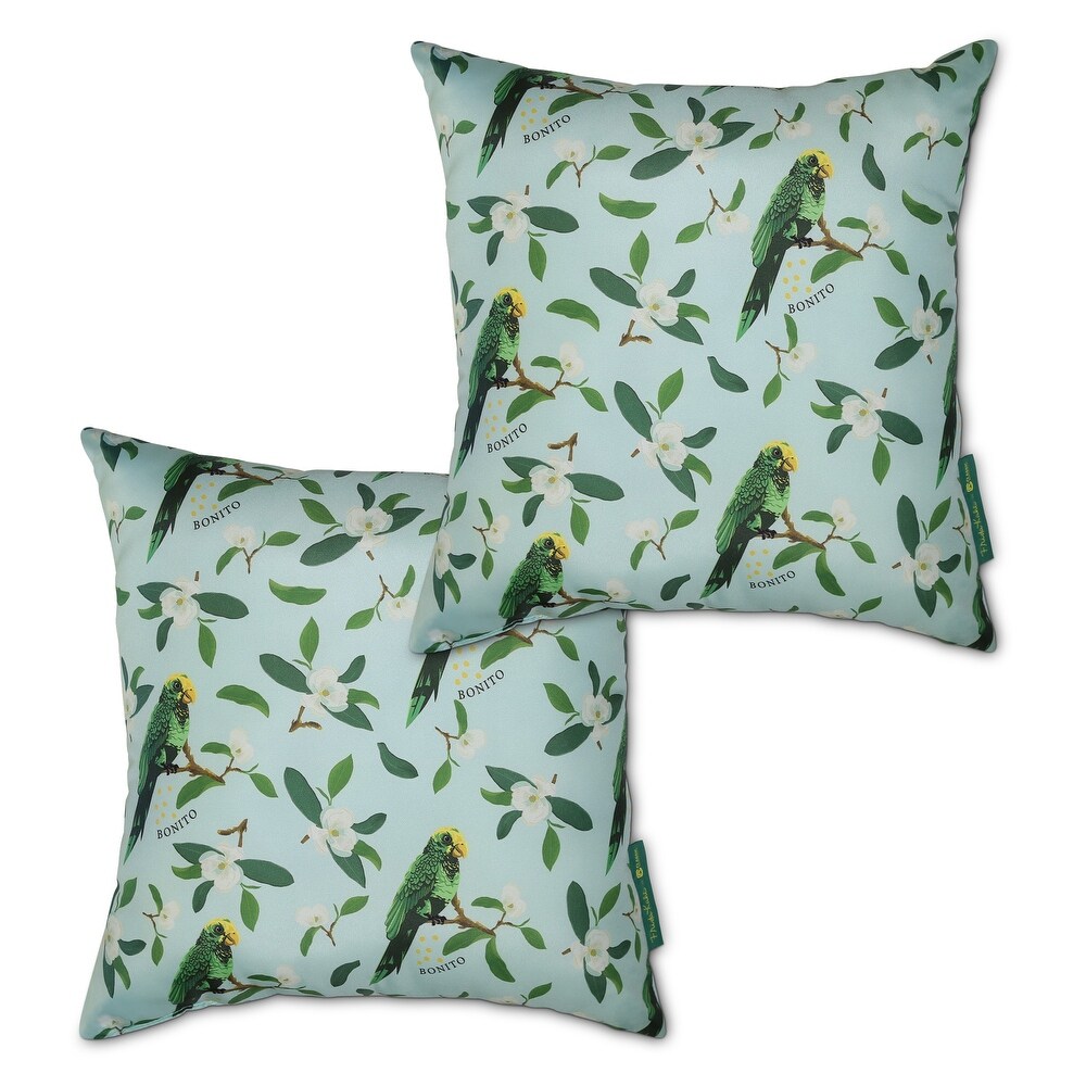 Frida Kahlo + Classic Accessories Accent Pillows  2 Pack  18 Inch