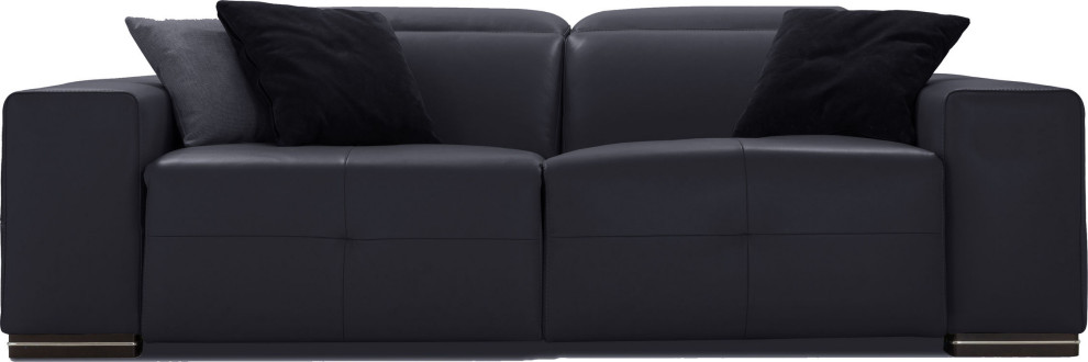 Camilla Motion Loveseat   Transitional   Loveseats   by HedgeApple  Houzz