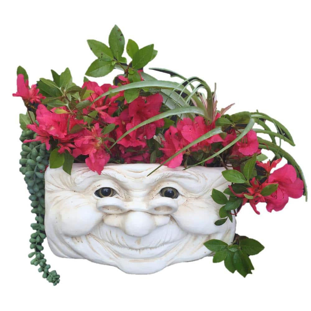 HOMESTYLES Grandma Violet Ant. 10.5 in. White the Muggly Face Statue Tree and Patio Resin Wall Planter 39845