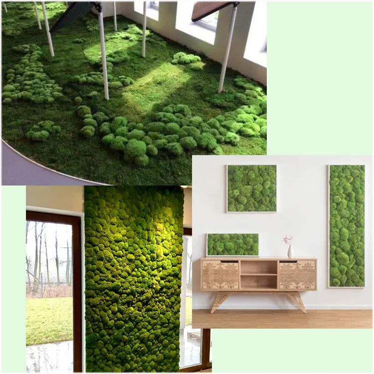 Sumflora Europe Garden supplies green preserved flowers real preserved fresh flower moss wall for wall decor