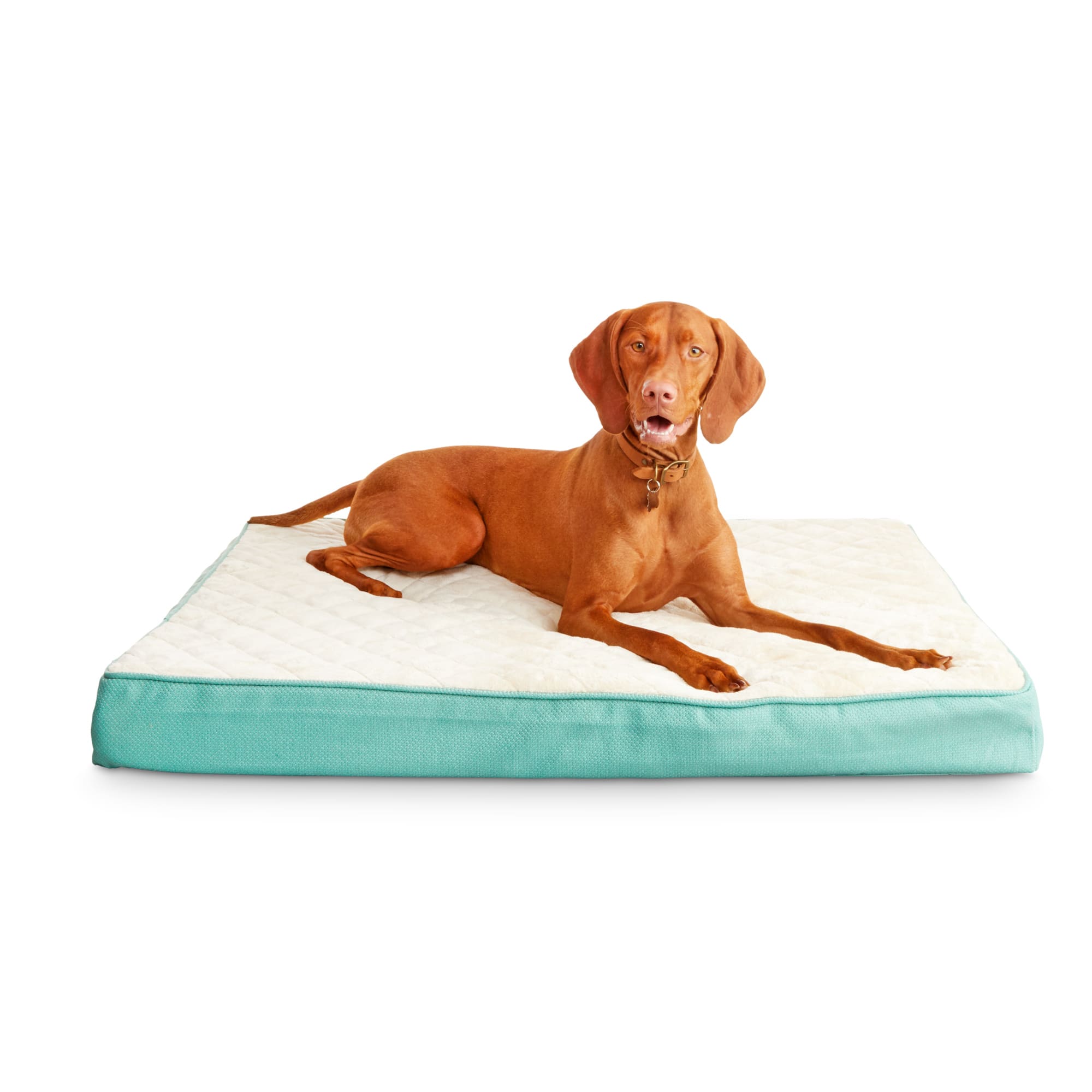 Harmony Green Orthopedic Lounger Dog Bed， 40