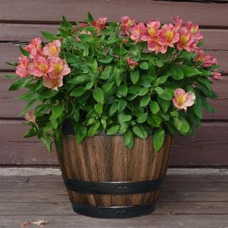 Vigoro 12.8 in. Reedley Medium Kentucky Walnut Brown Resin Barrel Planter (12.8 in. D x 10.5 in. H) HD1403-037R