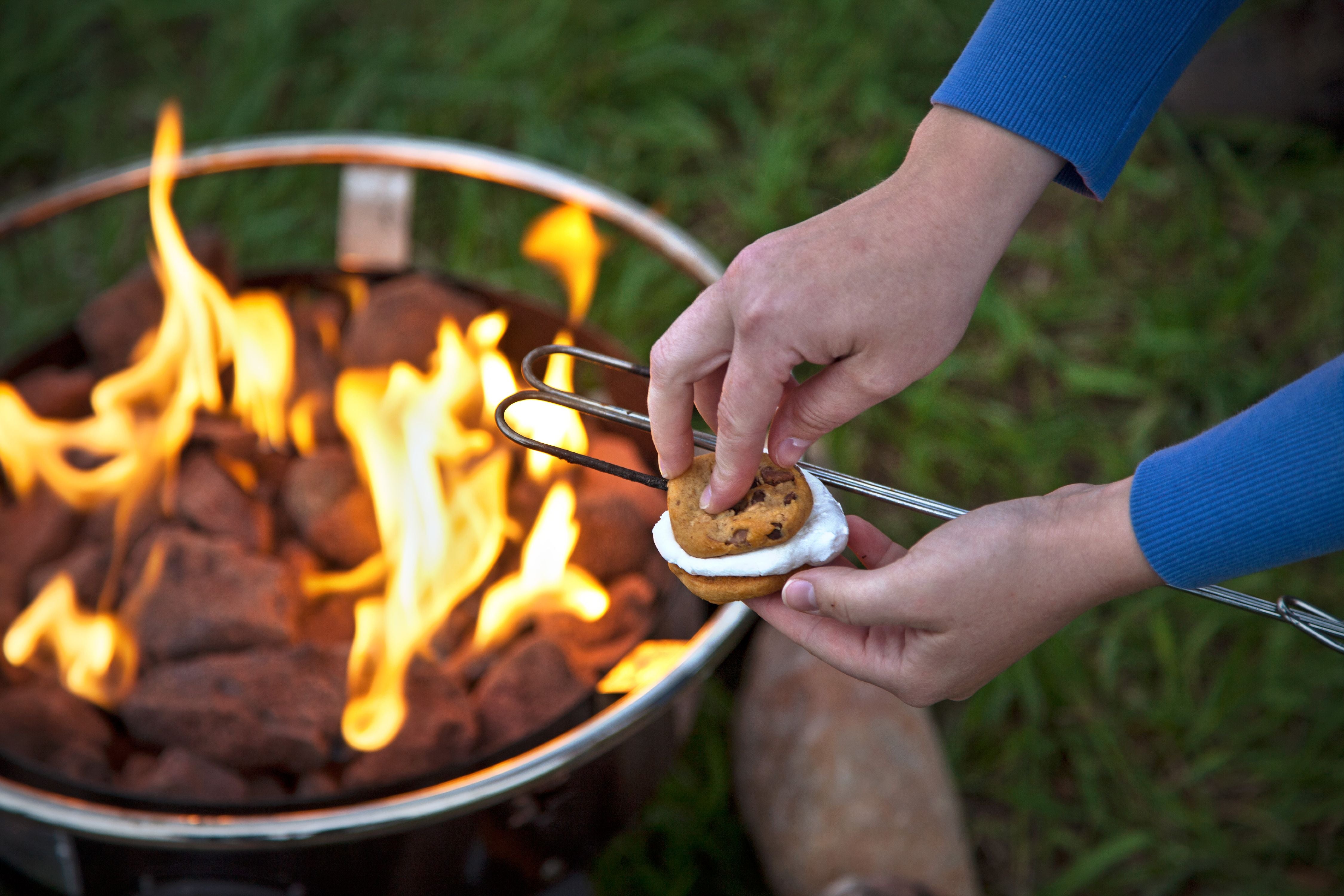 Camp Chef SRS4E Safety Roasting Stick