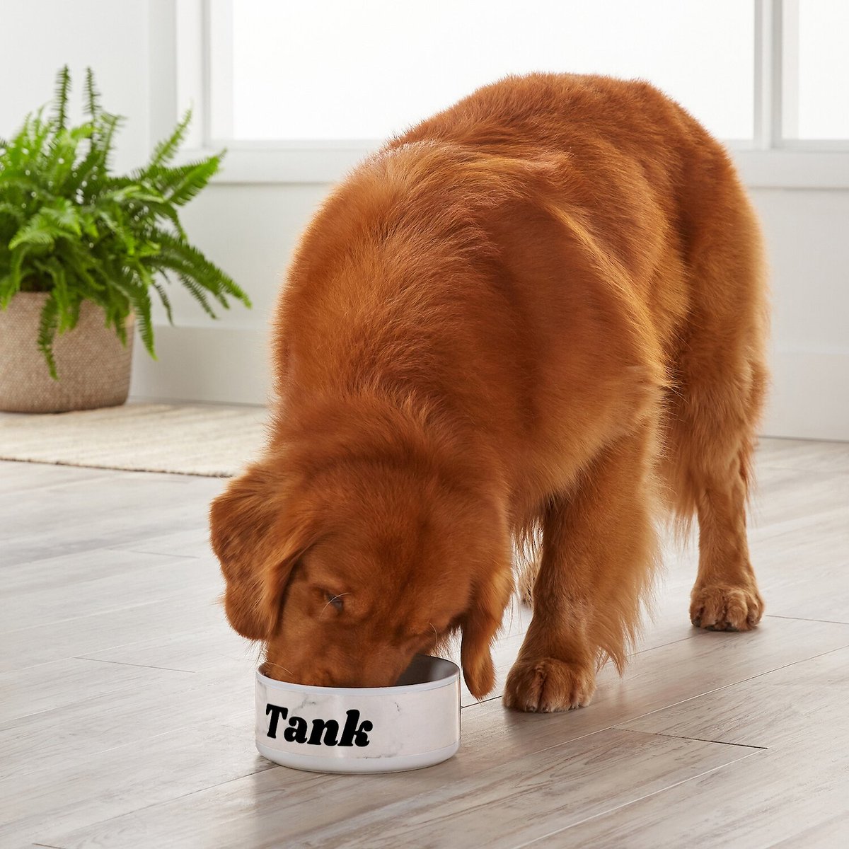 Frisco Personalized White Marble Dog Bowl