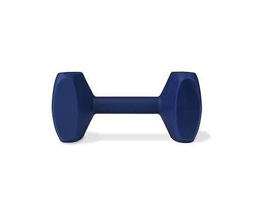 Coachi Small Dumbbell Weight for Dog Training