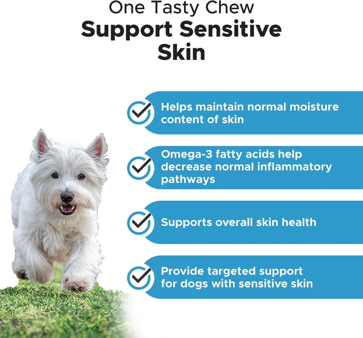 PetHonesty Skin Health Omega Salmon Flavored Soft Chews Skin and Coat Supplement for Dogs， 90 count