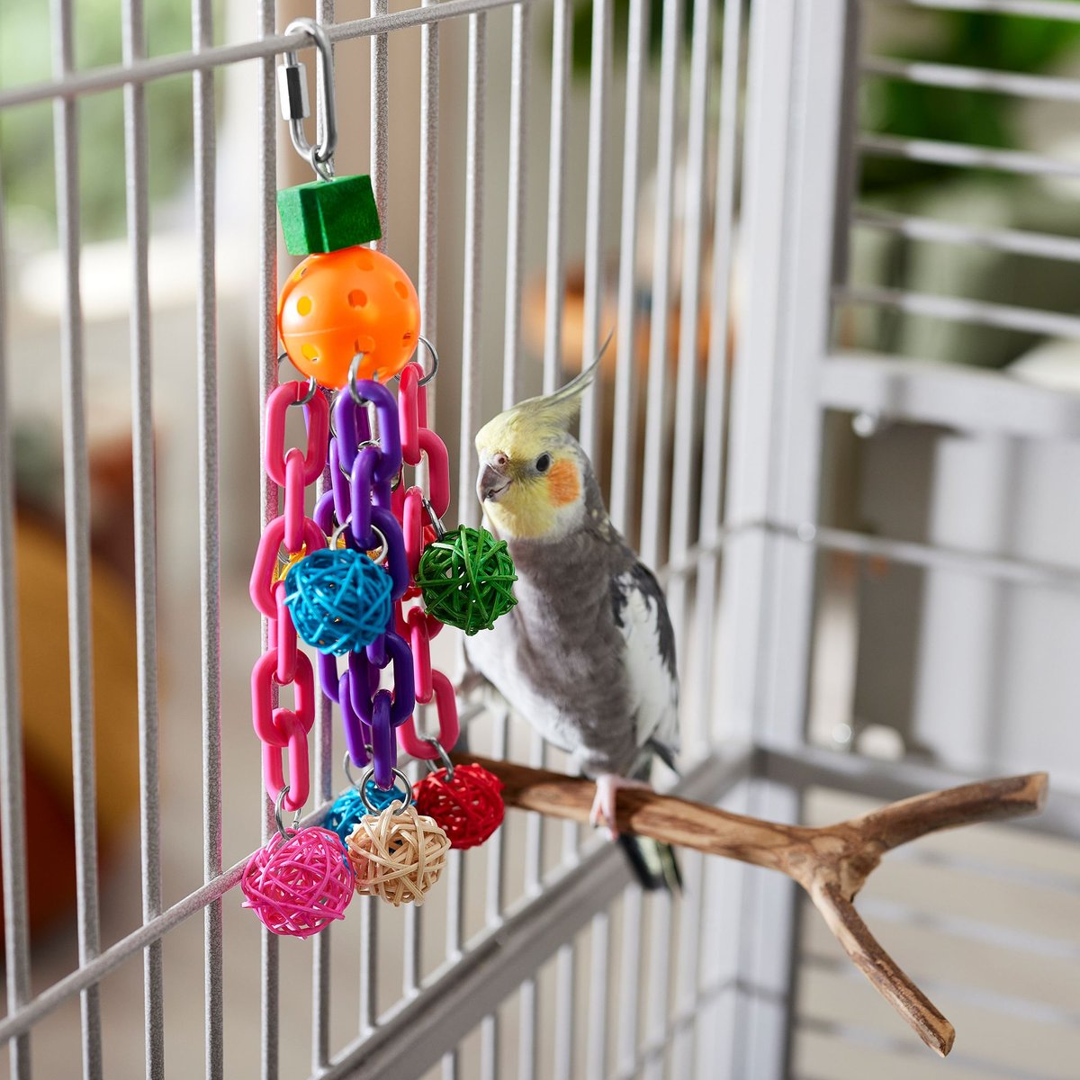 Frisco Entertainment Bundle Bird Toy