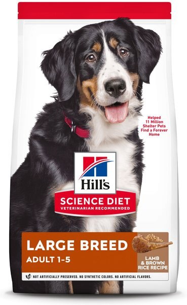 Hill's Science Diet Adult Large Breed Lamb Meal and Brown Rice Dry Dog Food