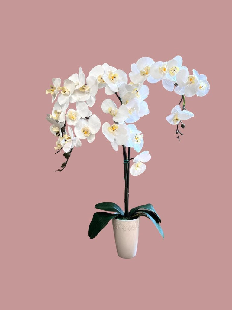 Stunning Artificial Orchids in Conical Pot