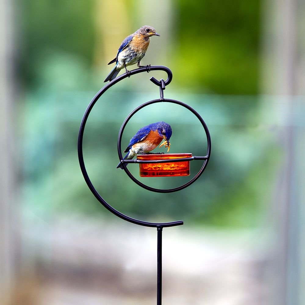 Mosaic Birds Hummble Garden Stake Bird Feeder， 44-in