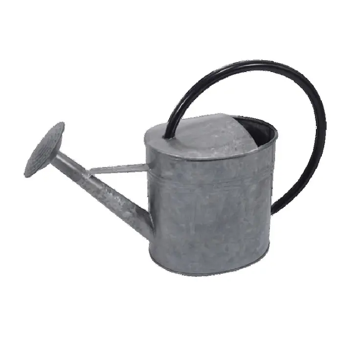 Metal Watering Cans Customized Capacity Logo Wholesale Garden Accessories Stainless Steel Iron Galvanized for Watering