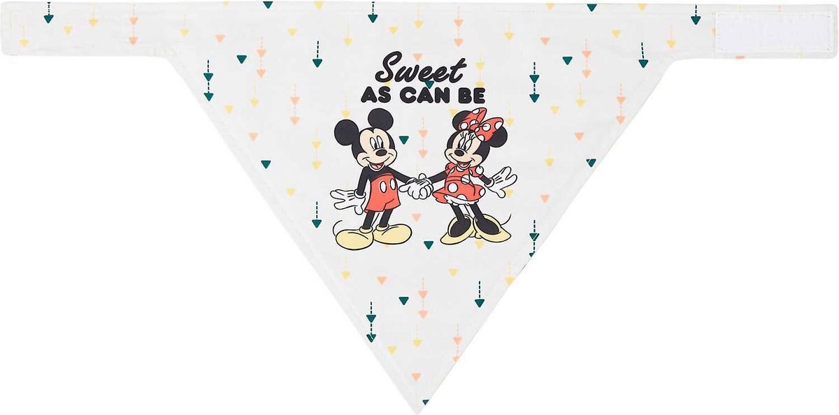 Disney Mickey Mouse and Minnie Mouse \