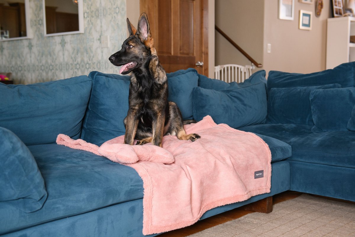 West Paw Big Sky Dog Blanket