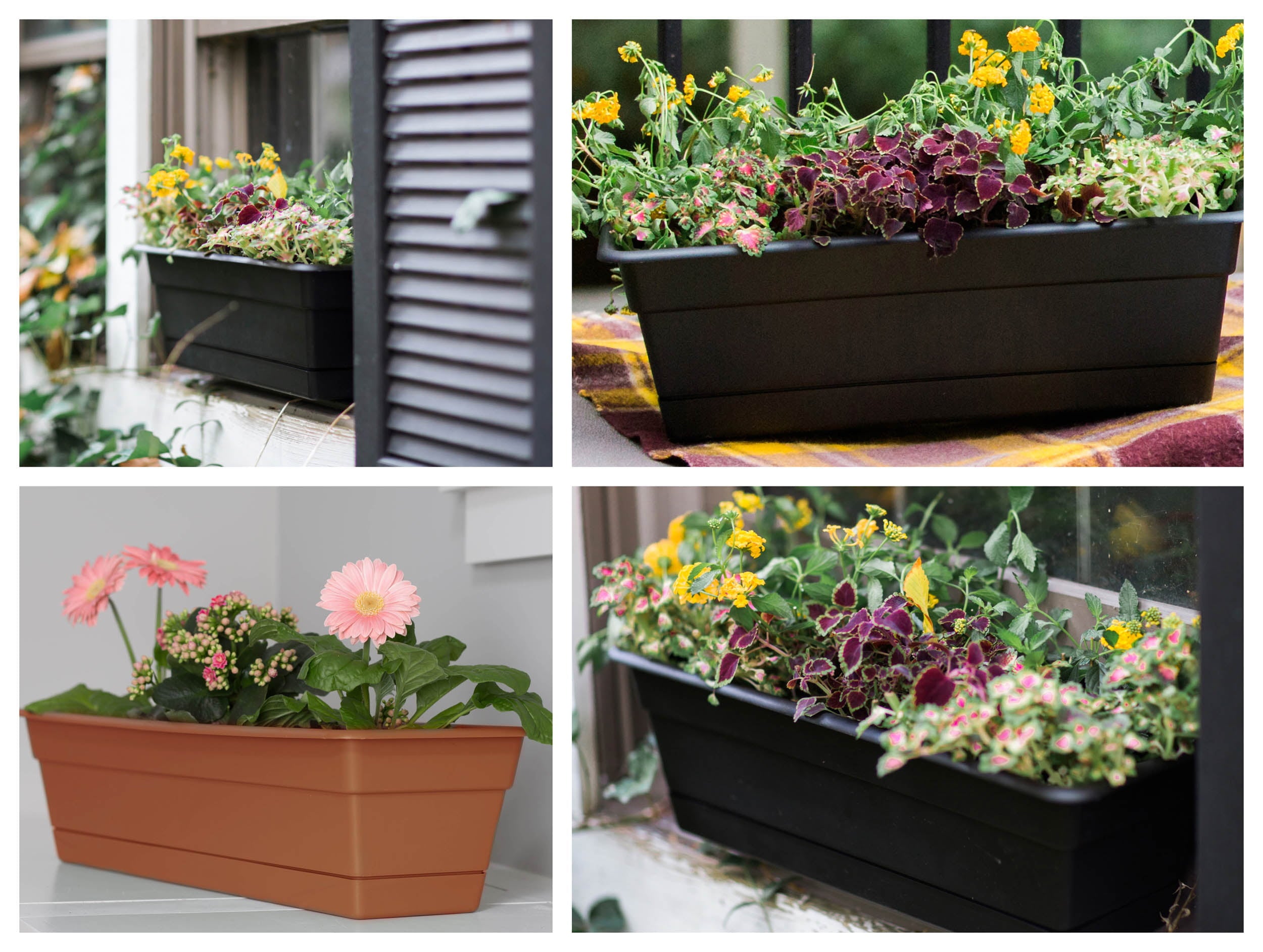 Bloem Dura Cotta Window Box Planter W/Tray 36 x 5.75 Plastic Rectangle Terracotta