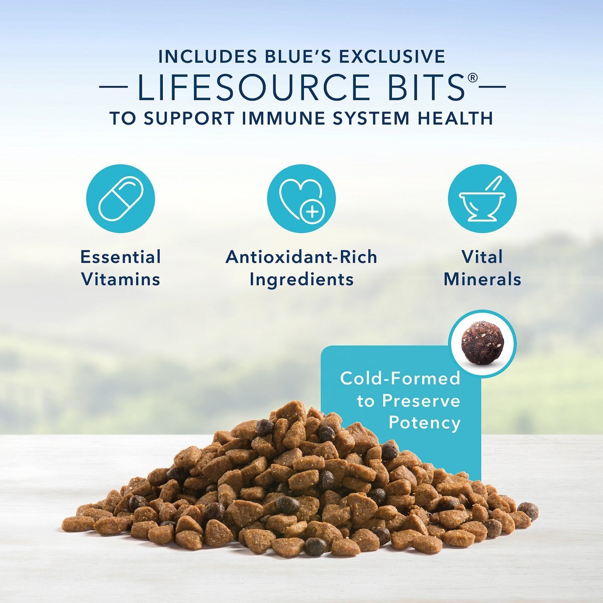 Blue Buffalo Life Protection Formula Small Breed Adult Chicken and Brown Rice Recipe Dry Dog Food