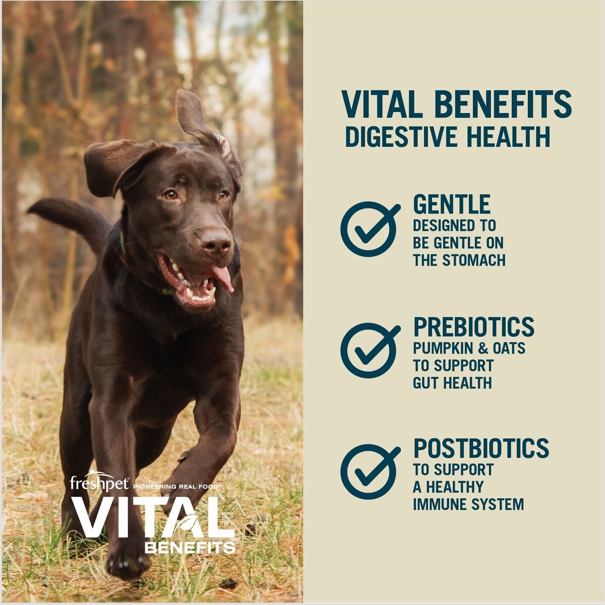 Freshpet Vital Benefits Digestive Health Fresh Dog Food