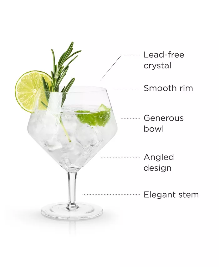 Viski Raye Angled Gin and Tonic Crystal Glasses Set of 2 14 Oz