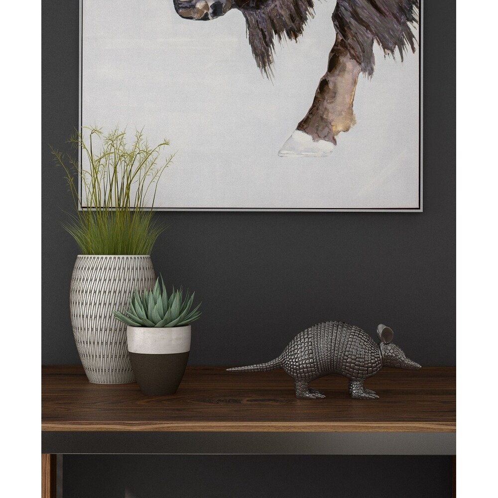 Anthony  Resin Armadillo   18\