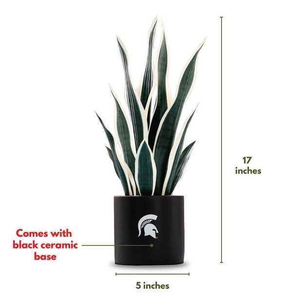 Quicskcart  Michigan State Faux Snake Plant， Indoor Artificial Plant For Home Decor