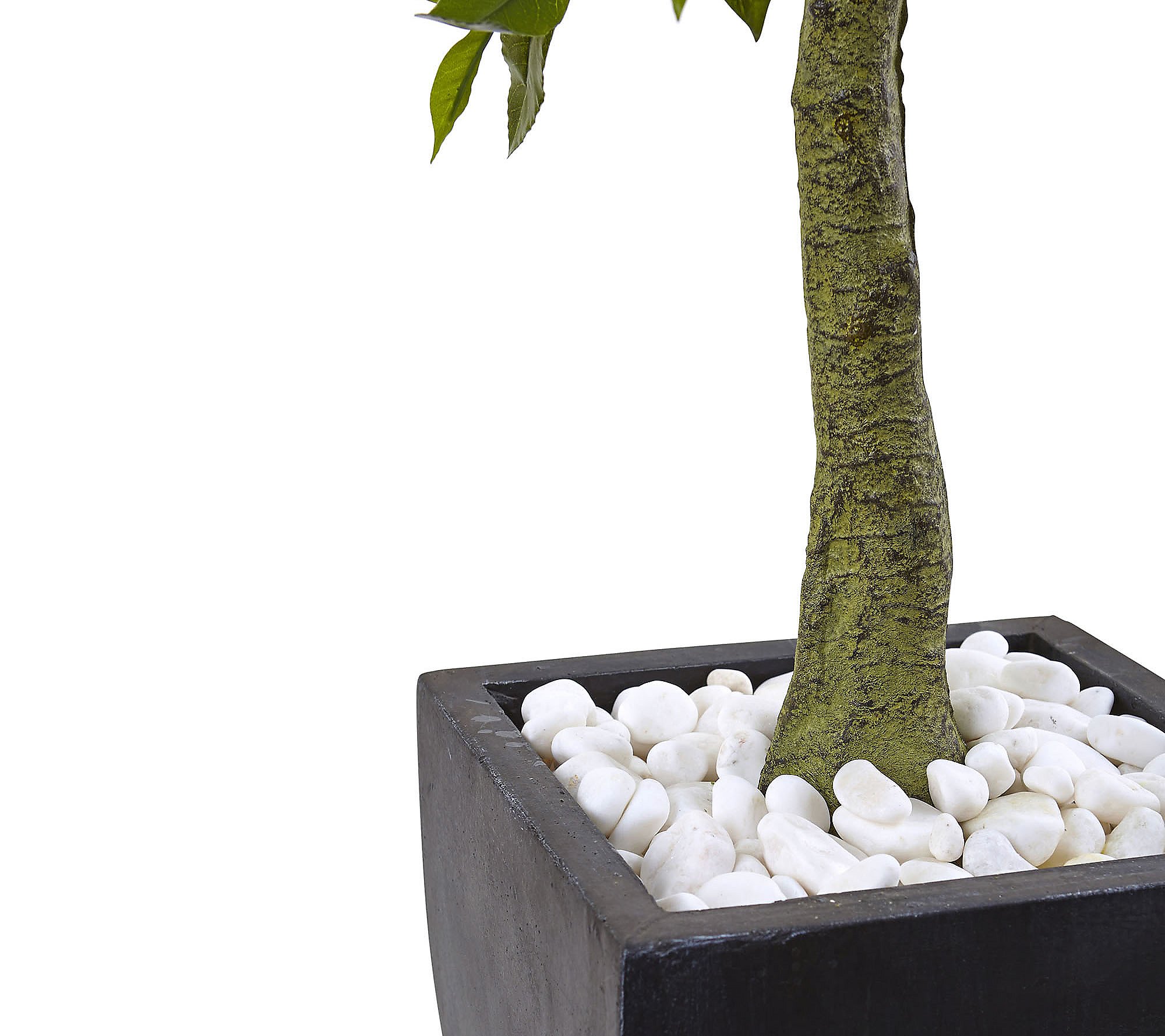 3.5' Bay Leaf Tree with Black Planter by NearlyNatural